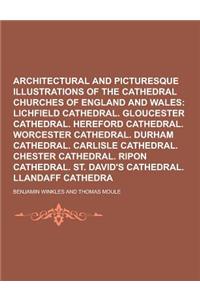 Winkles's Architectural and Picturesque Illustrations of the Cathedral Churches of England and Wales