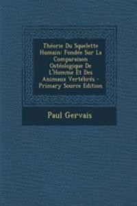 Theorie Du Squelette Humain