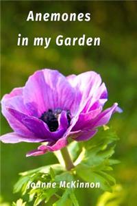 Anemones in my Garden