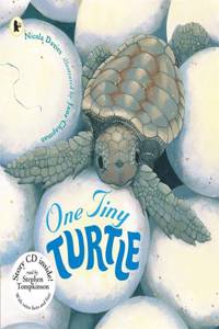 One Tiny Turtle Paperback With Cd