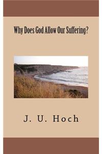 Why Does God Allow Our Suffering?
