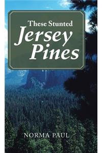 These Stunted Jersey Pines