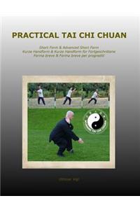 Practical Tai Chi Chuan