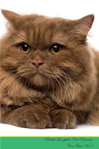 British Longhair Cat Presents