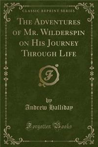 The Adventures of Mr. Wilderspin on His Journey Through Life (Classic Reprint)