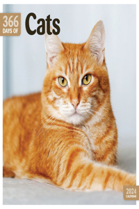 2024 Cats 365 Days Plastic Free Wall