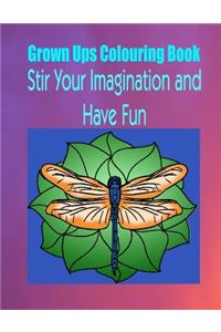 Grown Ups Colouring Book Stir Your Imaigination and Havne Fun Mandalas