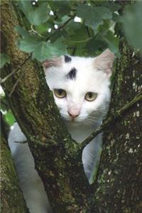 White Cat in a Tree Journal