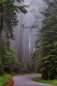 Journal