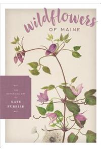 Wildflowers of Maine