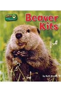 Beaver Kits