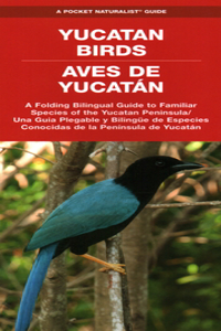 Yucatan Birds/Aves de Yucatan