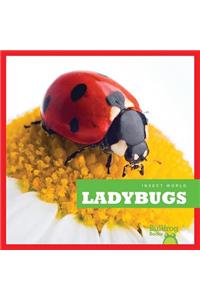 Ladybugs