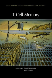 T-Cell Memory