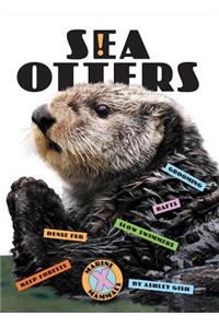 Sea Otters