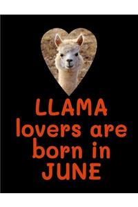 Llama Lovers are born in June: Llama Notebook Journal - Blank Llama notebook - Funny Llama Birthday Gifts for Animal Lovers - Llama Gifts for Women, Girls and Kids