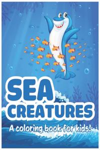 Sea Creatures Coloring Book