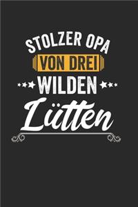 Stolzer Opa Von Drei Wilden Lütten