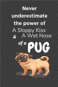 Never underestimate the power of a sloppy kiss and a wet nose of a Pug