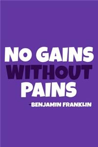 No Gains Without Pains - Benjamin Franklin