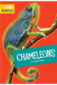 Chameleons