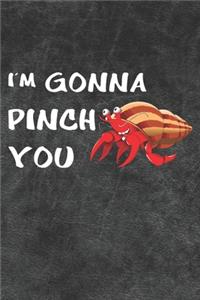 I'm Gonna Pinch You Notebook Journal