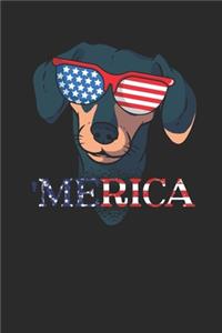 Merica Dachshund