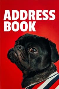 Address Book