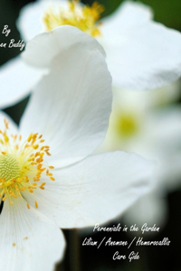 Perennials in the Garden - Lilium / Anemone / Hemerocallis Care Gide