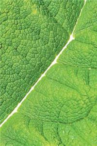 Leaf Veins Notebook