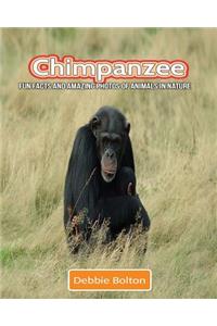 Chimpanzee: Fun Facts and Amazing Photos of Animals in Nature