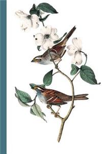 Coloring Doodling Notebook