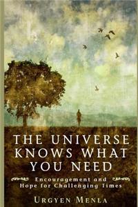 The Universe Knows What You Need