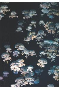 2019 Appointment Calendar: 2019 Daily Planner Goal Planner Multiple Jellyfish