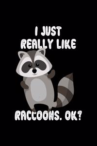 I Just Really Like Raccoons, Ok?