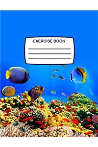 Exercise Book