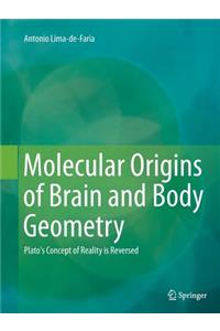 Molecular Origins of Brain and Body Geometry