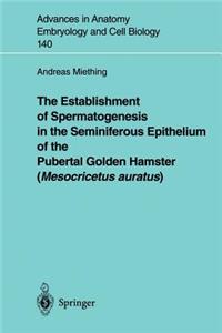 Establishment of Spermatogenesis in the Seminiferous Epithelium of the Pubertal Golden Hamster (Mesocricetus Auratus)