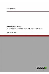 Bild des Sexes: Zu den Relationen von Gesellschaft, Subjekt und Medium