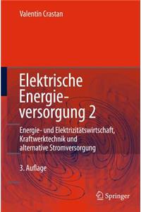 Elektrische Energieversorgung 2: Energiewirtschaft Und Klimaschutz Elektrizitatswirtschaft, Liberalisierung Kraftwerktechnik Und Alternative Stromversorgung, Chemische Energiespeicherung