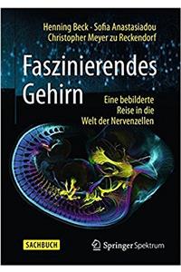 Faszinierendes Gehirn