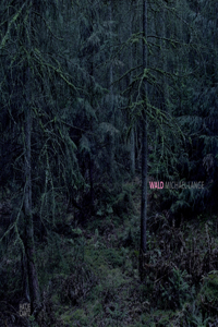 Michael Lange