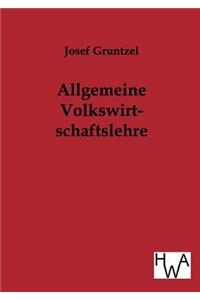 Allgemeine Volkswirtschaftslehre