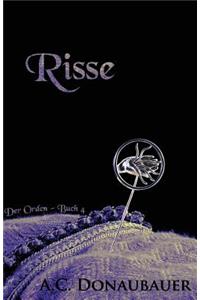 Risse: Der Orden - Buch 4