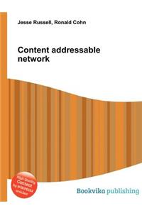 Content Addressable Network
