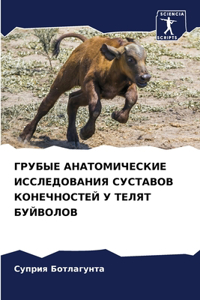 ГРУБЫЕ АНАТОМИЧЕСКИЕ ИССЛЕДОВАНИЯ СУСТА&