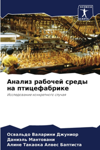 Анализ рабочей среды на птицефабрике
