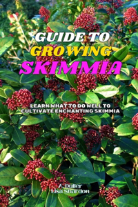 Guide to Growing Skimmia