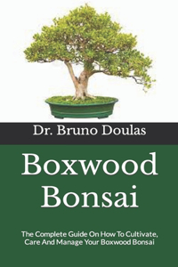 Boxwood Bonsai
