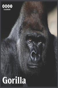 Gorilla 2021 Calendar
